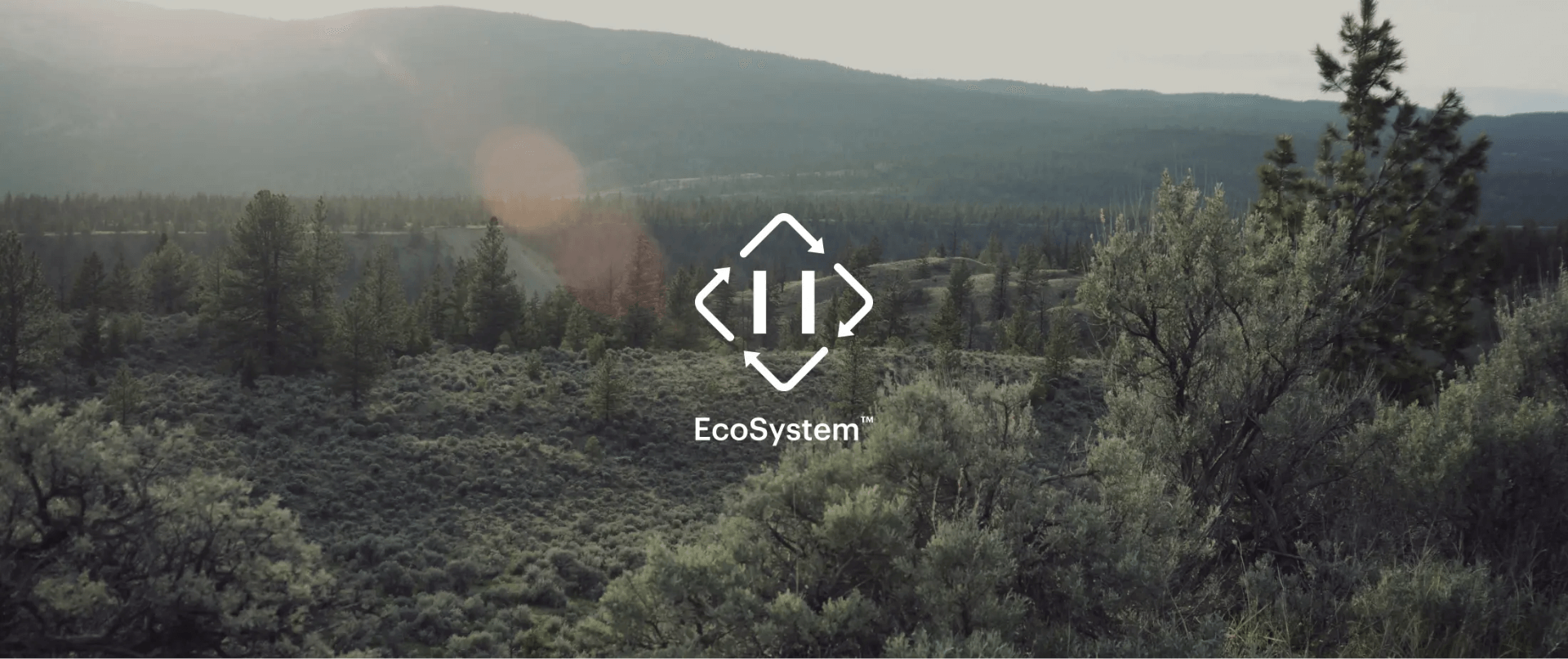 EcoSystem™